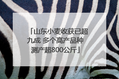 山东小麦收获已超九成 多个高产品种测产超800公斤