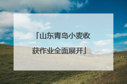 山东青岛小麦收获作业全面展开