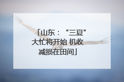 山东：“三夏”大忙将开始 机收减损在田间