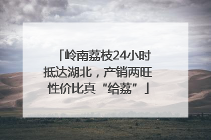 岭南荔枝24小时抵达湖北，产销两旺性价比真“给荔”