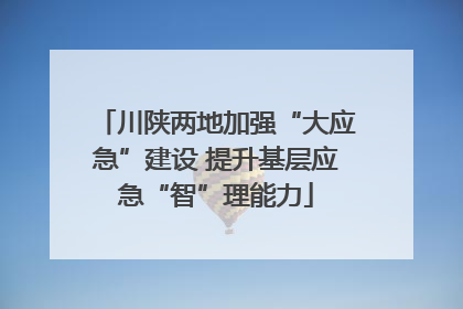 川陕两地加强“大应急”建设 提升基层应急“智”理能力