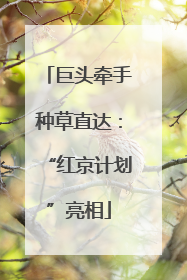 巨头牵手种草直达：“红京计划”亮相