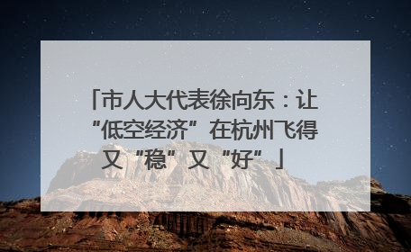 市人大代表徐向东：让“低空经济”在杭州飞得又“稳”又“好”