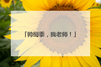 帅蜀黍，我老师！