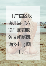 广信区政协开展“六送”履职服务文明新风润乡村（图）