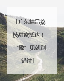 广东精品荔枝甜蜜抵达！“豫”见就别错过