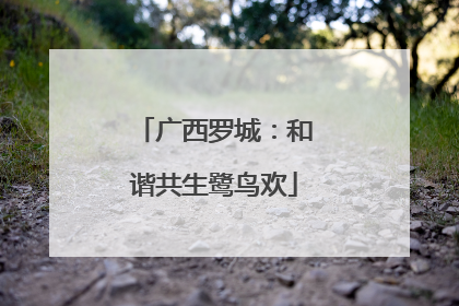 广西罗城：和谐共生鹭鸟欢