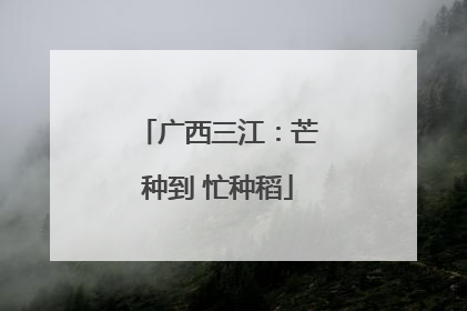 广西三江：芒种到 忙种稻