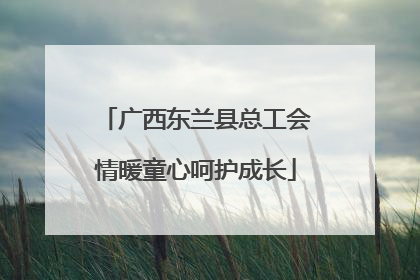 广西东兰县总工会情暖童心呵护成长