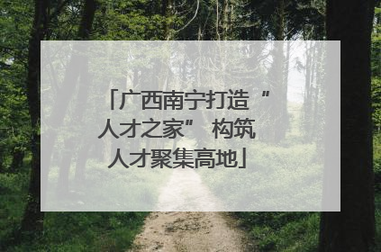 广西南宁打造“人才之家” 构筑人才聚集高地