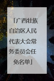 广西壮族自治区人民代表大会常务委员会任免名单