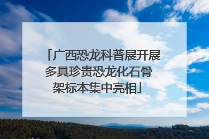 广西恐龙科普展开展 多具珍贵恐龙化石骨架标本集中亮相