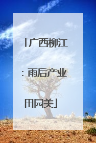 广西柳江：雨后产业田园美