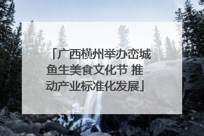 广西横州举办峦城鱼生美食文化节 推动产业标准化发展