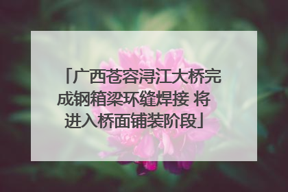 广西苍容浔江大桥完成钢箱梁环缝焊接 将进入桥面铺装阶段