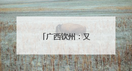 广西钦州：又到辣椒收获季