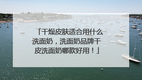 干燥皮肤适合用什么洗面奶，洗面奶品牌干皮洗面奶哪款好用！