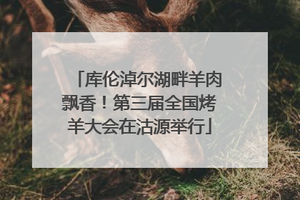 库伦淖尔湖畔羊肉飘香！第三届全国烤羊大会在沽源举行