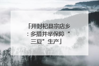 开封杞县宗店乡：多措并举保障“三夏”生产