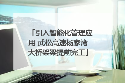 引入智能化管理应用 武松高速杨家湾大桥架梁提前完工