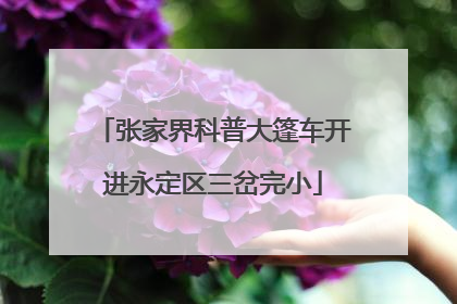 张家界科普大篷车开进永定区三岔完小