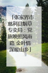 张家界市慈利县烟草专卖局：党旗映照风雨路 金叶情深暖山乡