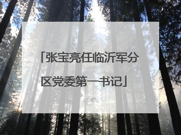 张宝亮任临沂军分区党委第一书记