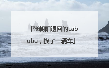 张朝阳退回的Labubu，换了一辆车