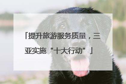提升旅游服务质量，三亚实施“十大行动”