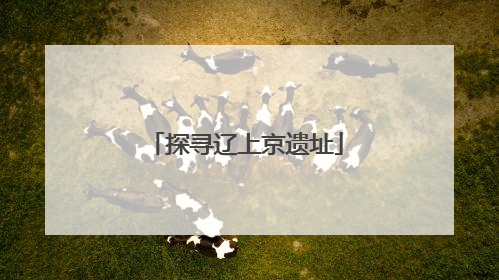 探寻辽上京遗址
