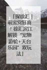 探徐汇｜萌宠党狂喜！徐汇滨江解锁“宠物游轮+天台乐园”双玩法