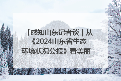 感知山东记者谈｜从《2024山东省生态环境状况公报》看美丽山东建设的“成绩单”与“任务书”