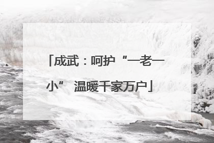 成武：呵护“一老一小” 温暖千家万户