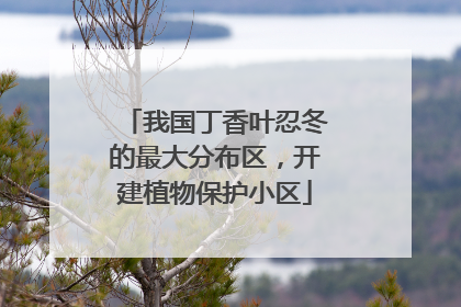 我国丁香叶忍冬的最大分布区，开建植物保护小区