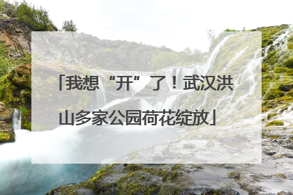 我想“开”了！武汉洪山多家公园荷花绽放
