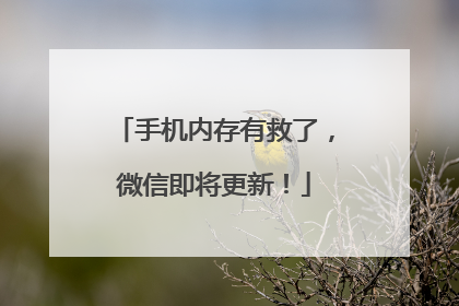 手机内存有救了，微信即将更新！