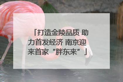 打造金陵品质 助力首发经济 南京迎来首家“胖东来”