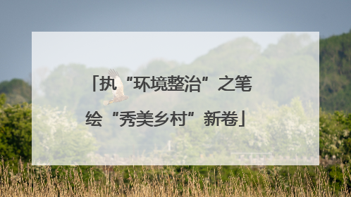 执“环境整治”之笔 绘“秀美乡村”新卷
