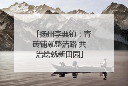 扬州李典镇：青砖铺就整洁路 共治绘就新田园