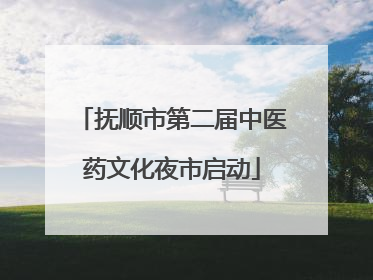抚顺市第二届中医药文化夜市启动