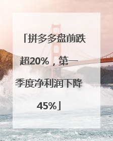 拼多多盘前跌超20%，第一季度净利润下降45%