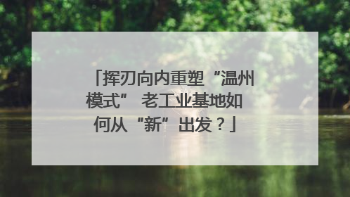 挥刃向内重塑“温州模式” 老工业基地如何从“新”出发？