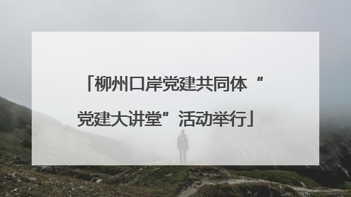 柳州口岸党建共同体“党建大讲堂”活动举行