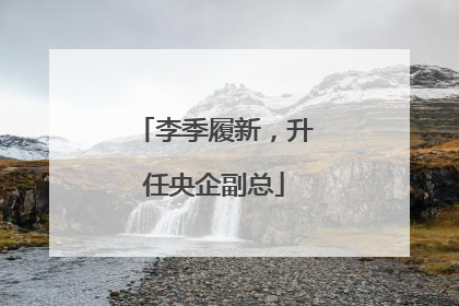 李季履新，升任央企副总