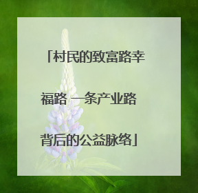 村民的致富路幸福路 一条产业路背后的公益脉络