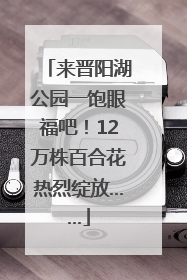 来晋阳湖公园一饱眼福吧！12万株百合花热烈绽放……