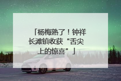 杨梅熟了！钟祥长滩镇收获“舌尖上的惊喜”