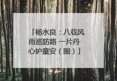 杨水良：八载风雨巡防路 一片丹心护童安（图）