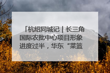 杭绍同城记｜长三角国际农批中心项目形象进度过半，华东“菜篮子”建设加码提速！