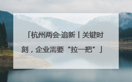 杭州两会·追新丨关键时刻，企业需要“拉一把”